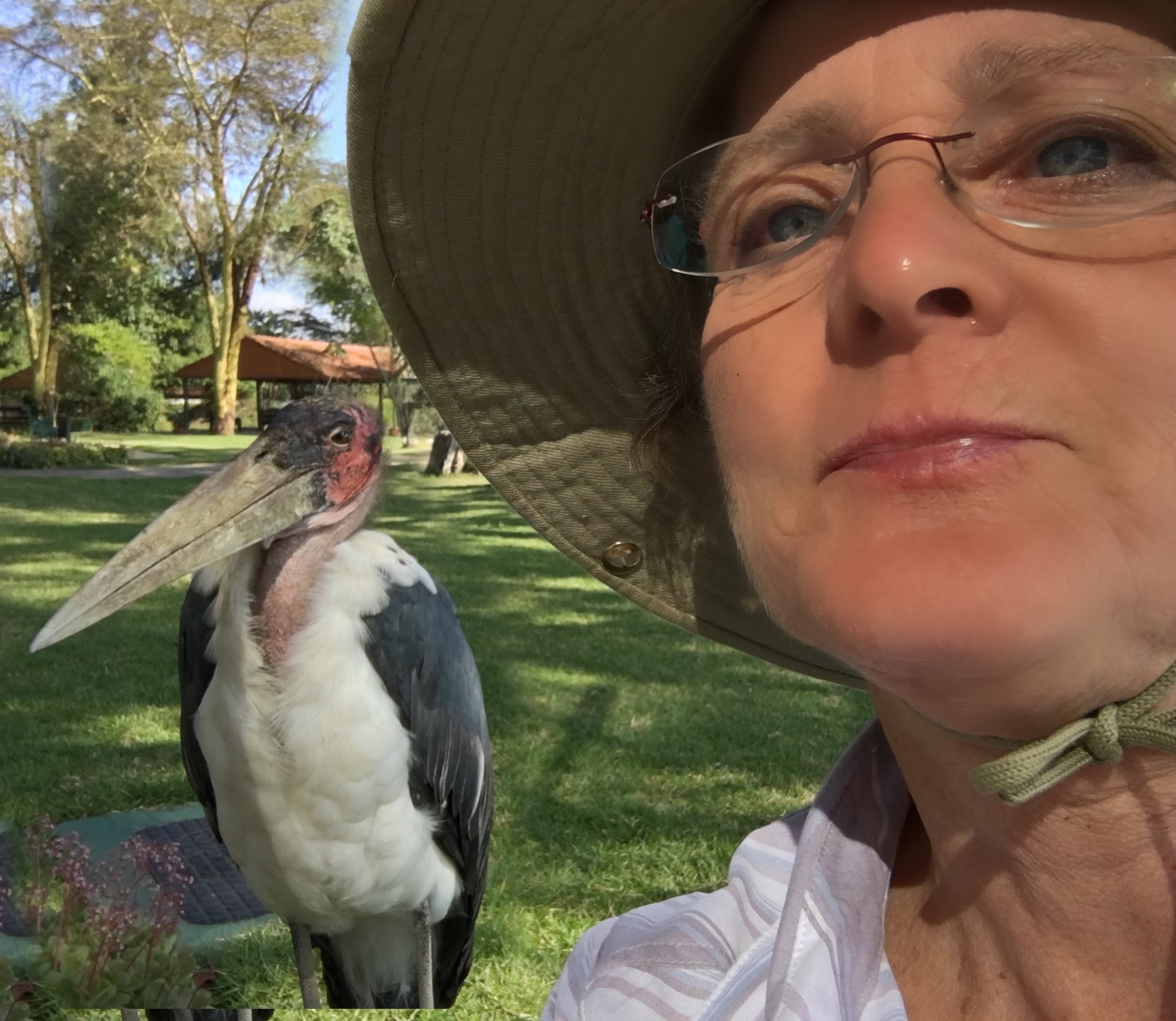 Selfie with the Marabou Stork at Larsen’s Camp – Samburu, Kenya