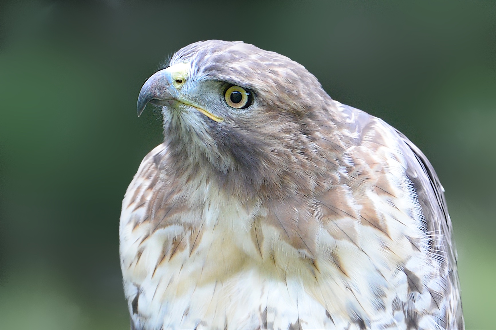 Perplexed by the State of Things