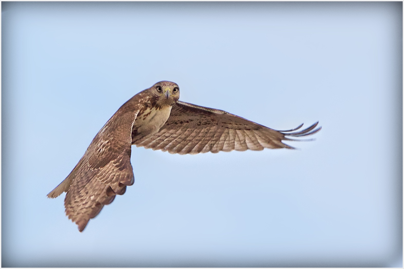 Eye Contact in Valley Forge Today