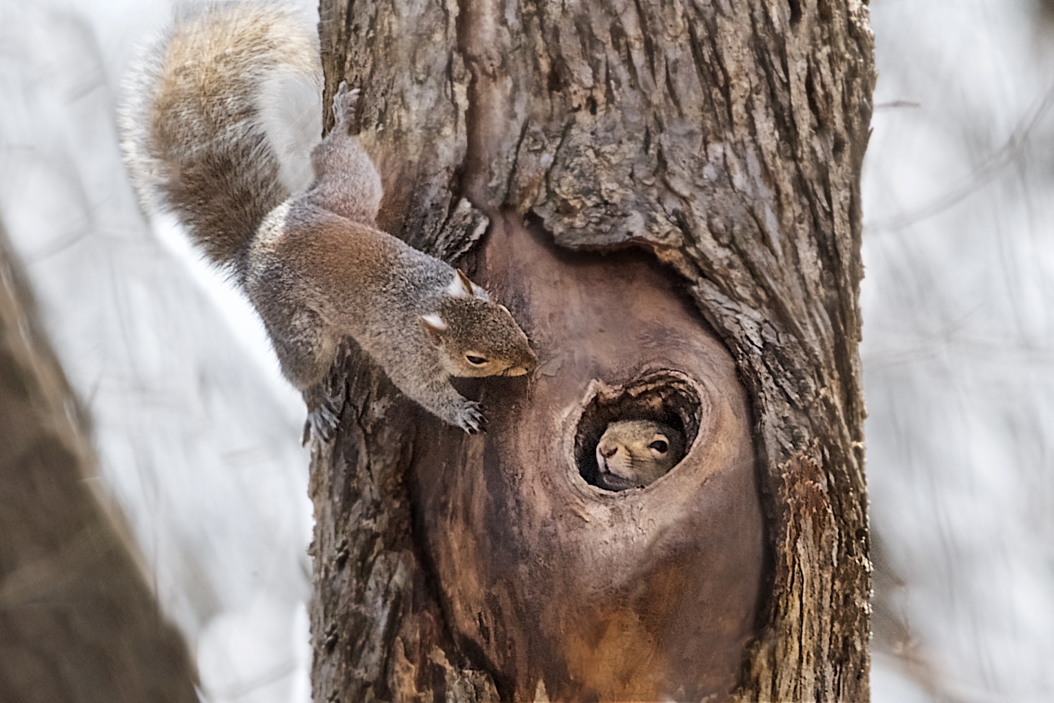 Good Morning Sunshine