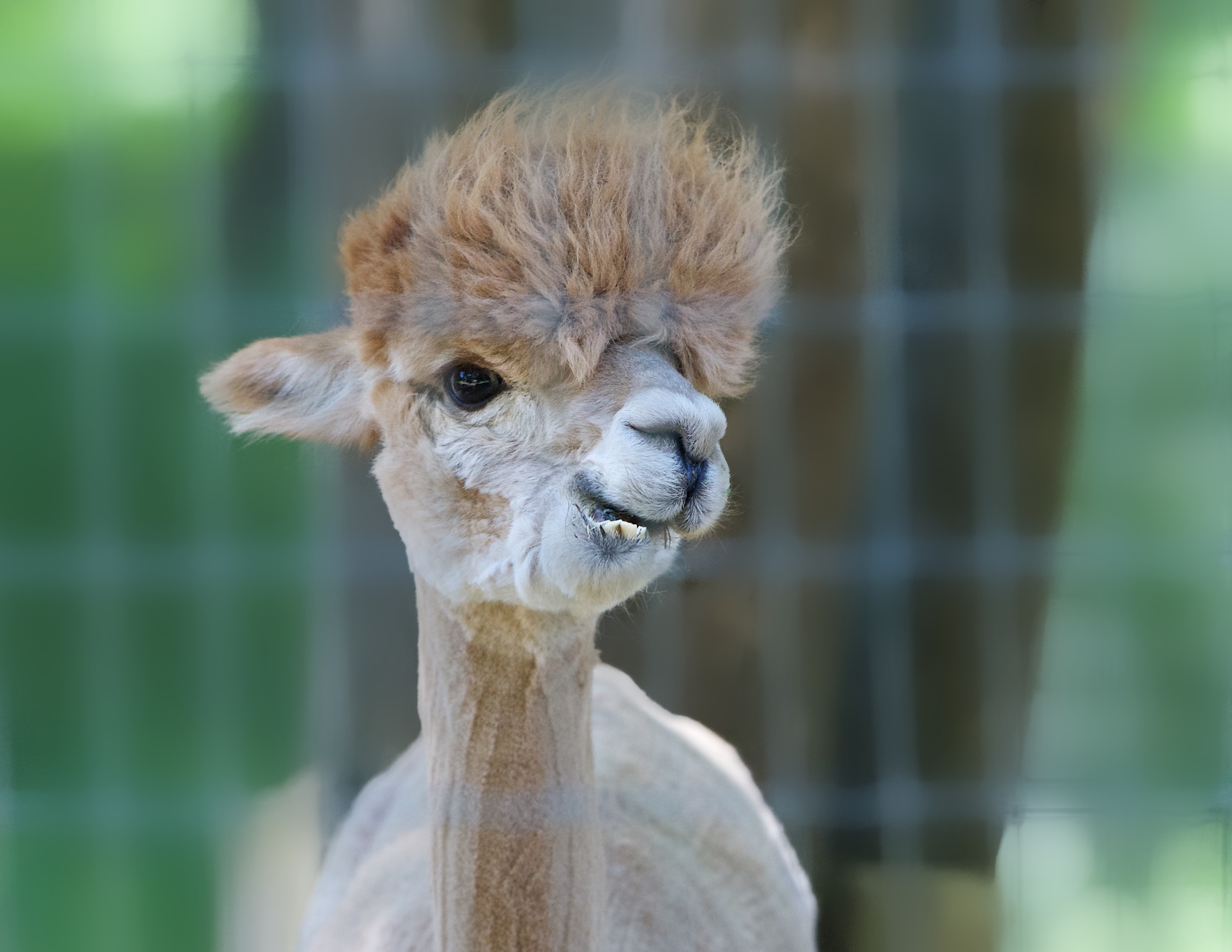 Weekend Up the Mountains