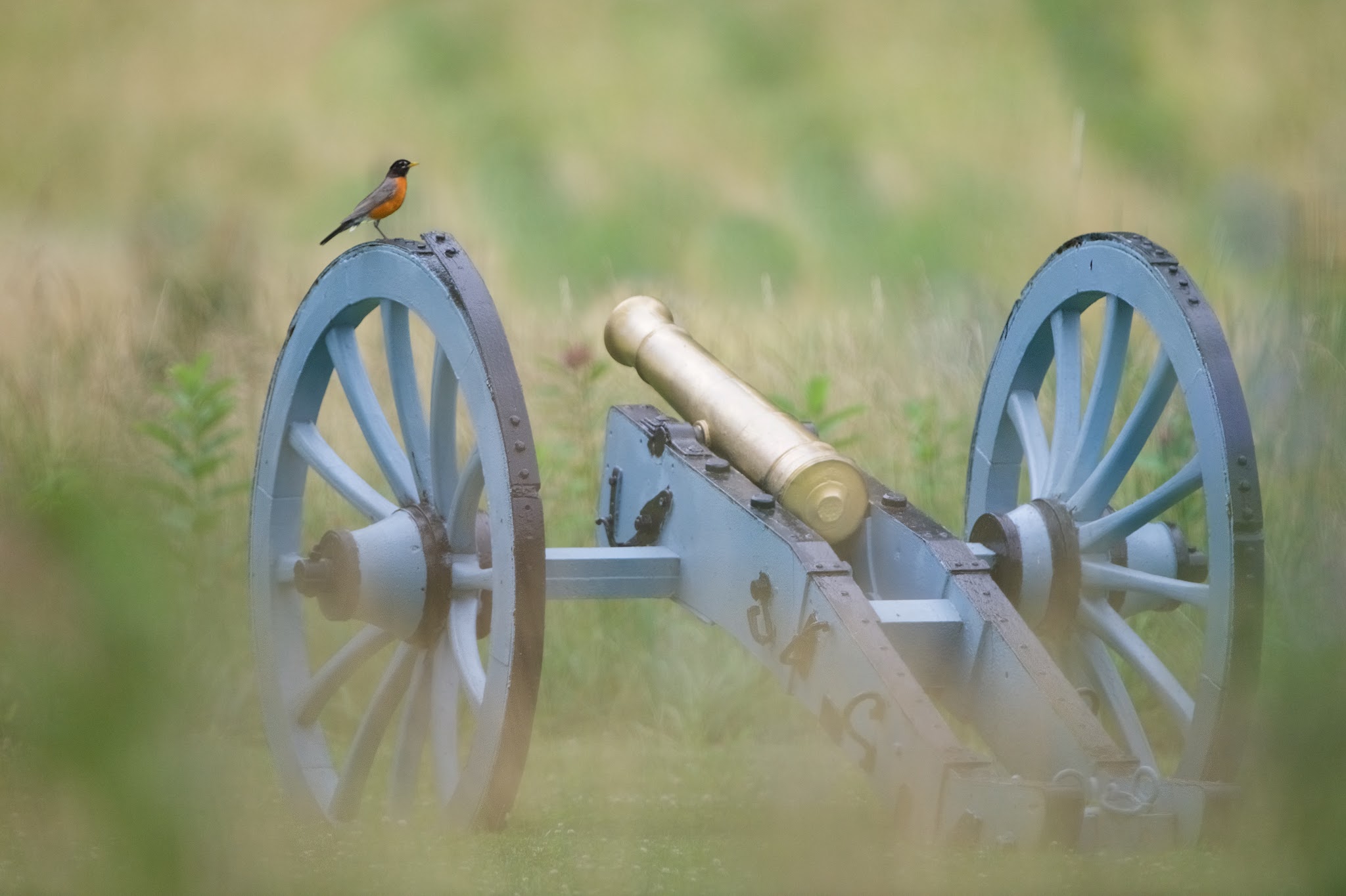 Getting Ready for the 4th