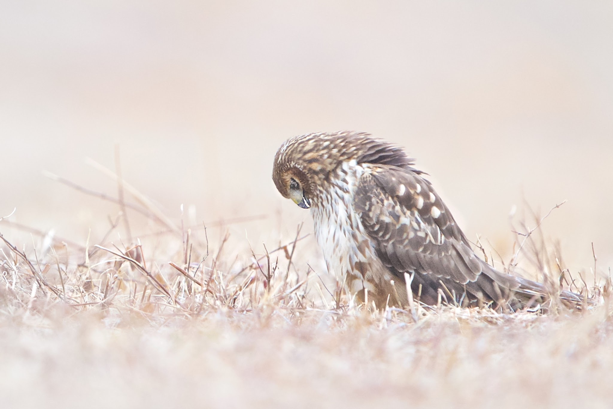 “Could That Be a Hangnail?”