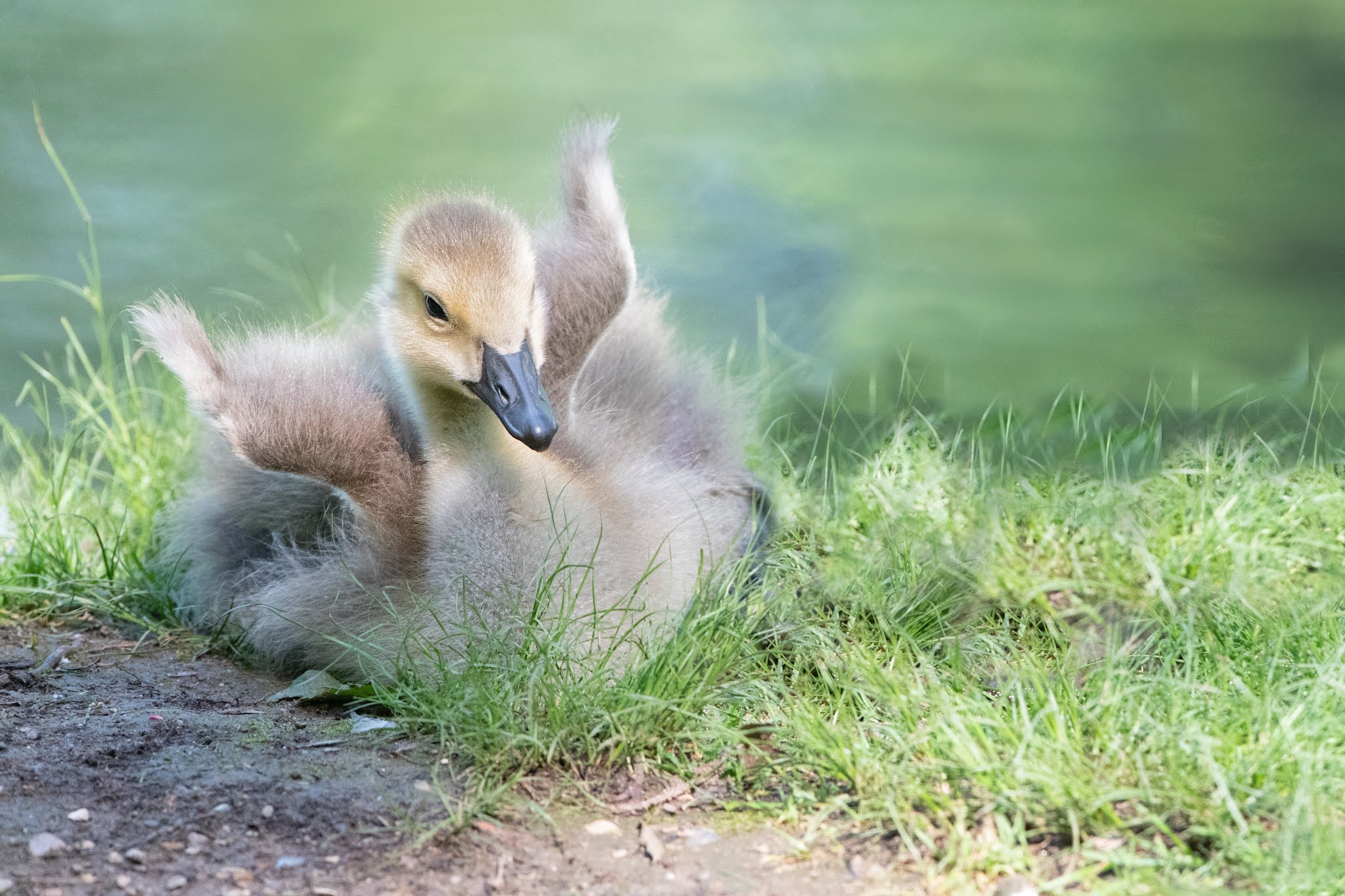 It’s Just Been One of Those Days