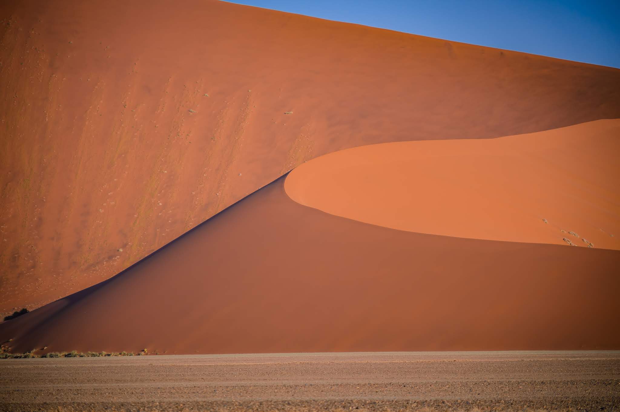 Lucious Beauty of the Sand Dunes of Namibia