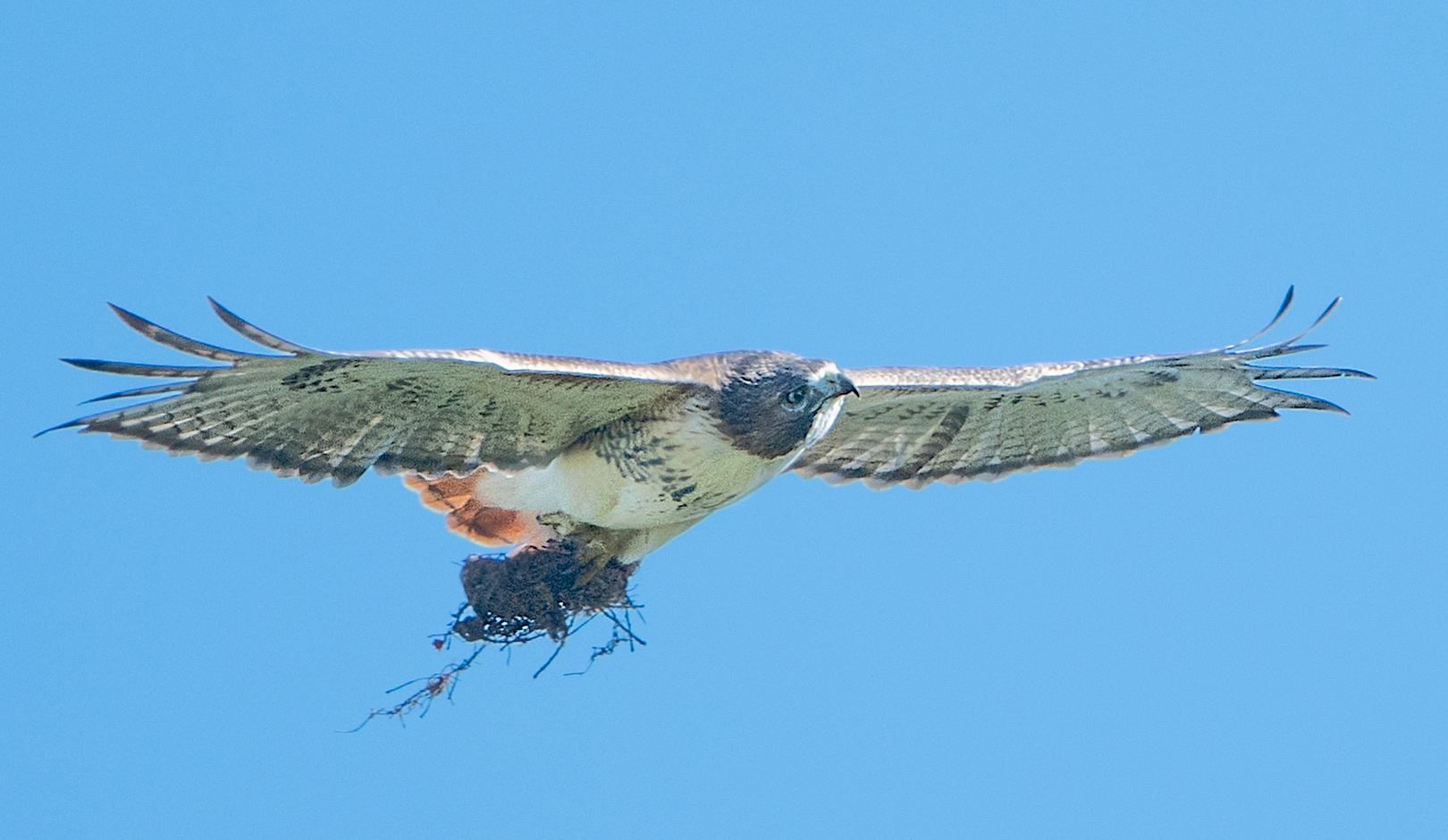 This is a TOTALLY TRUE Story