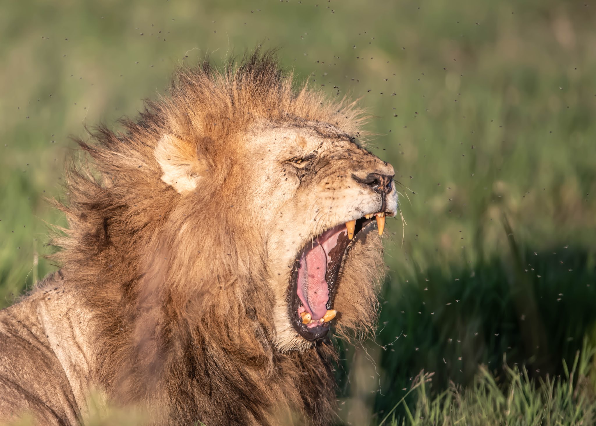 First Pictures from Tanzania