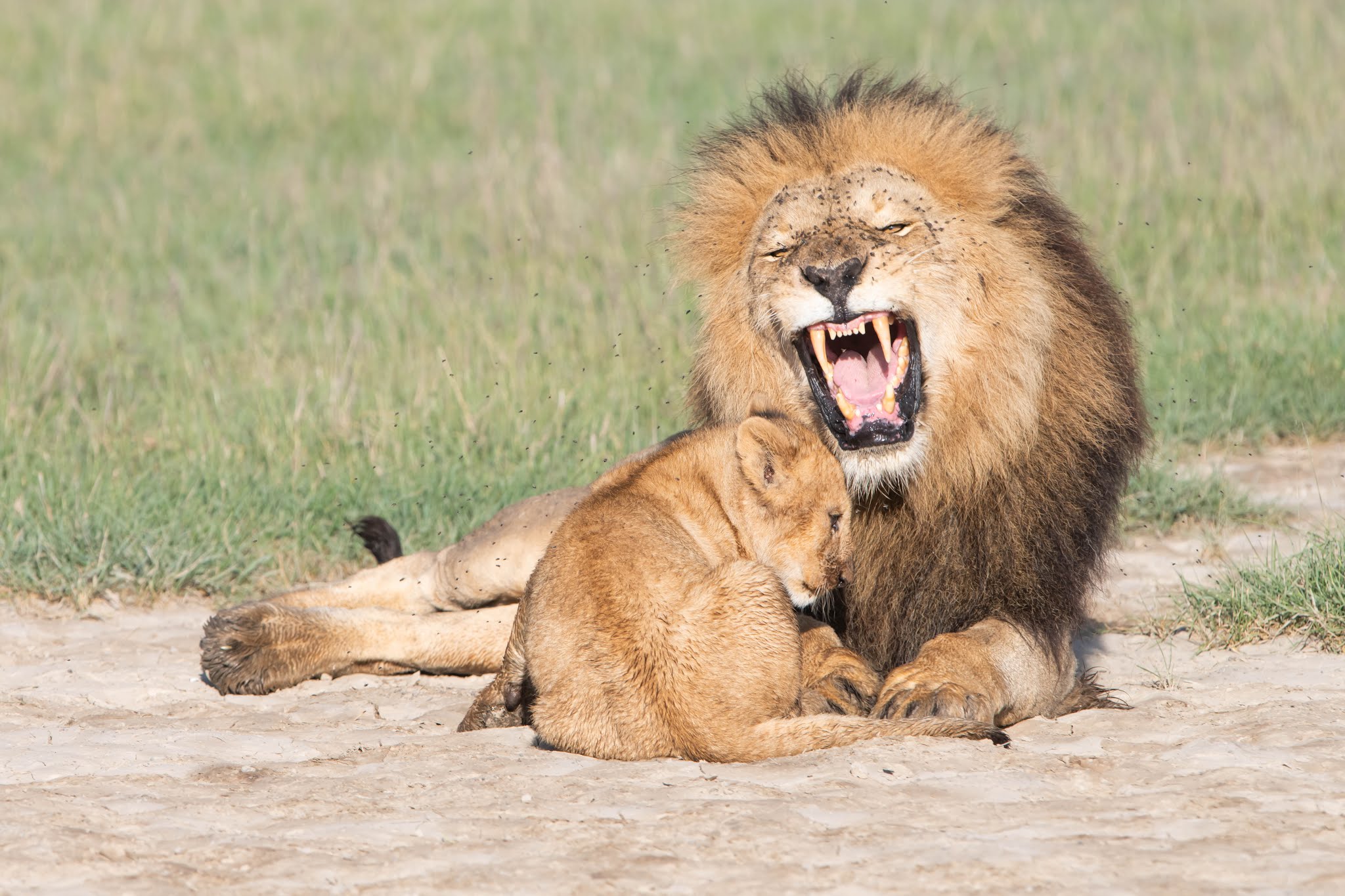 Sorry Dad, I won’t do it again.