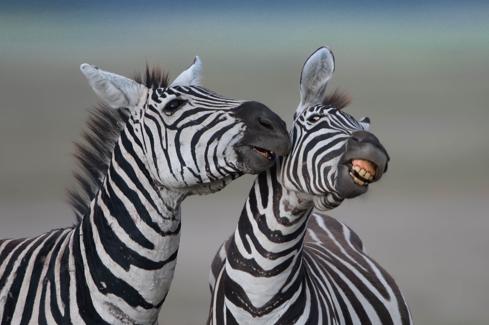 “I love your perfume.”