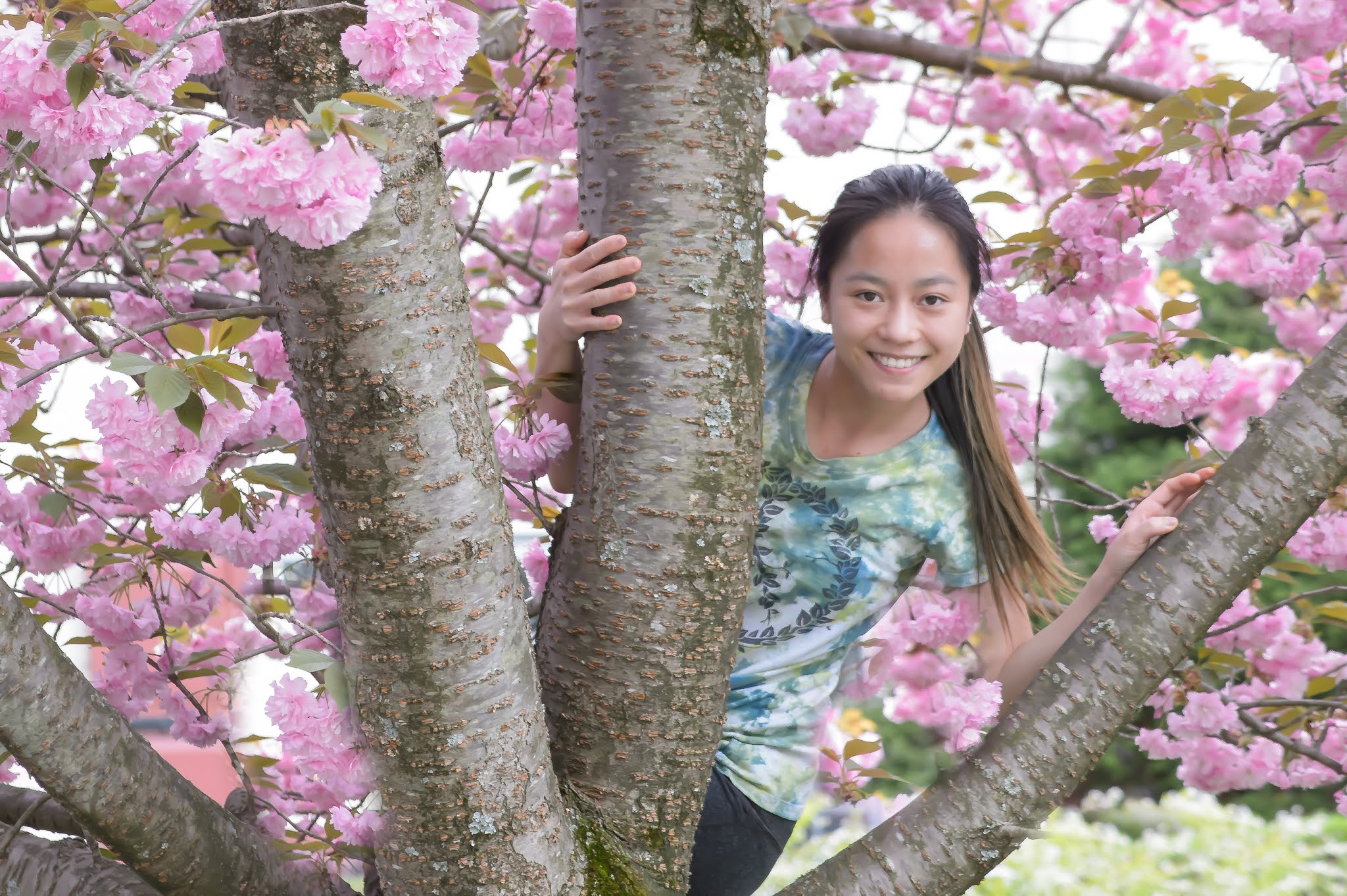 Yumiko in the Cherry Tree