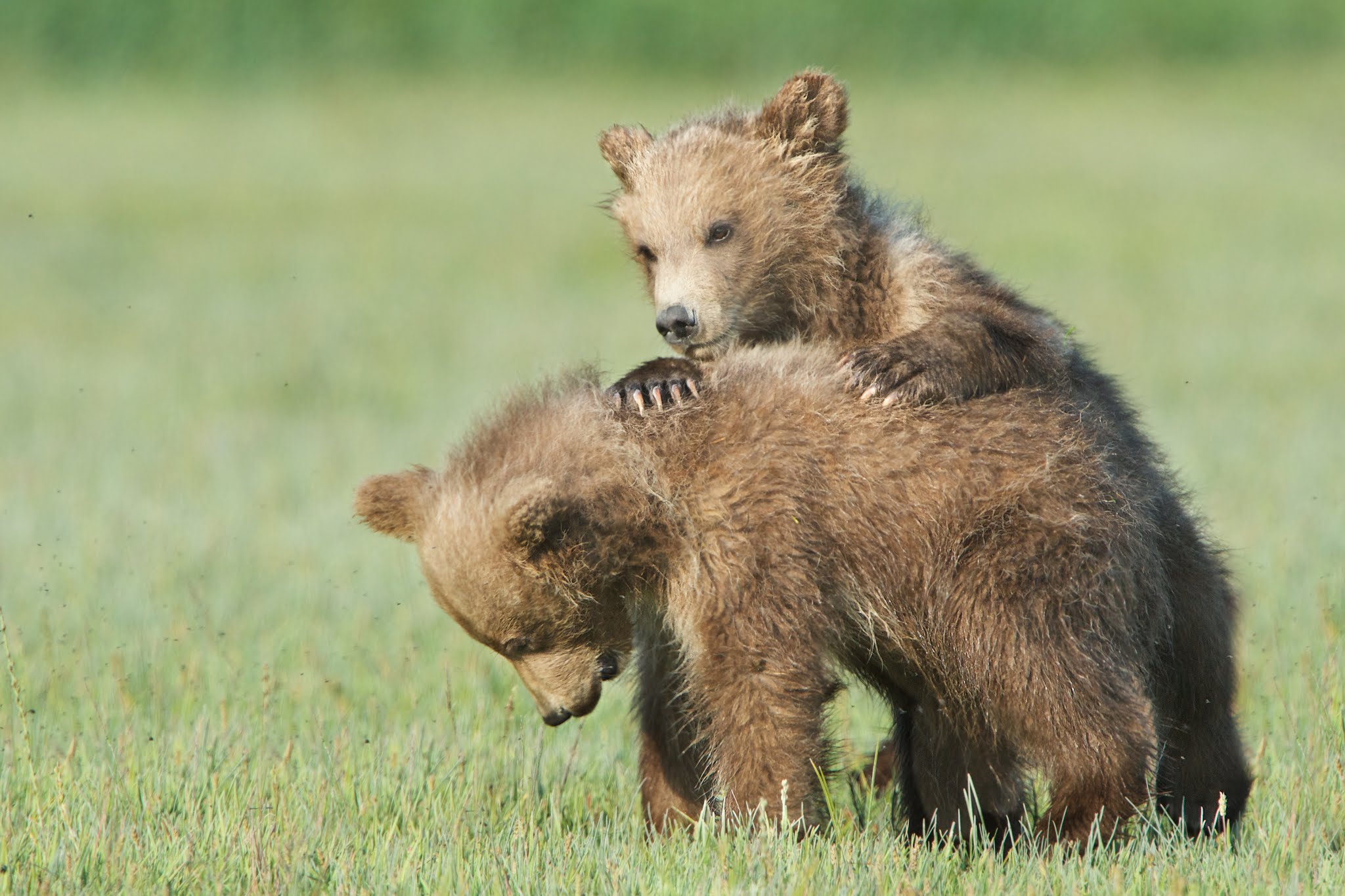 It’s Been a Long Time!