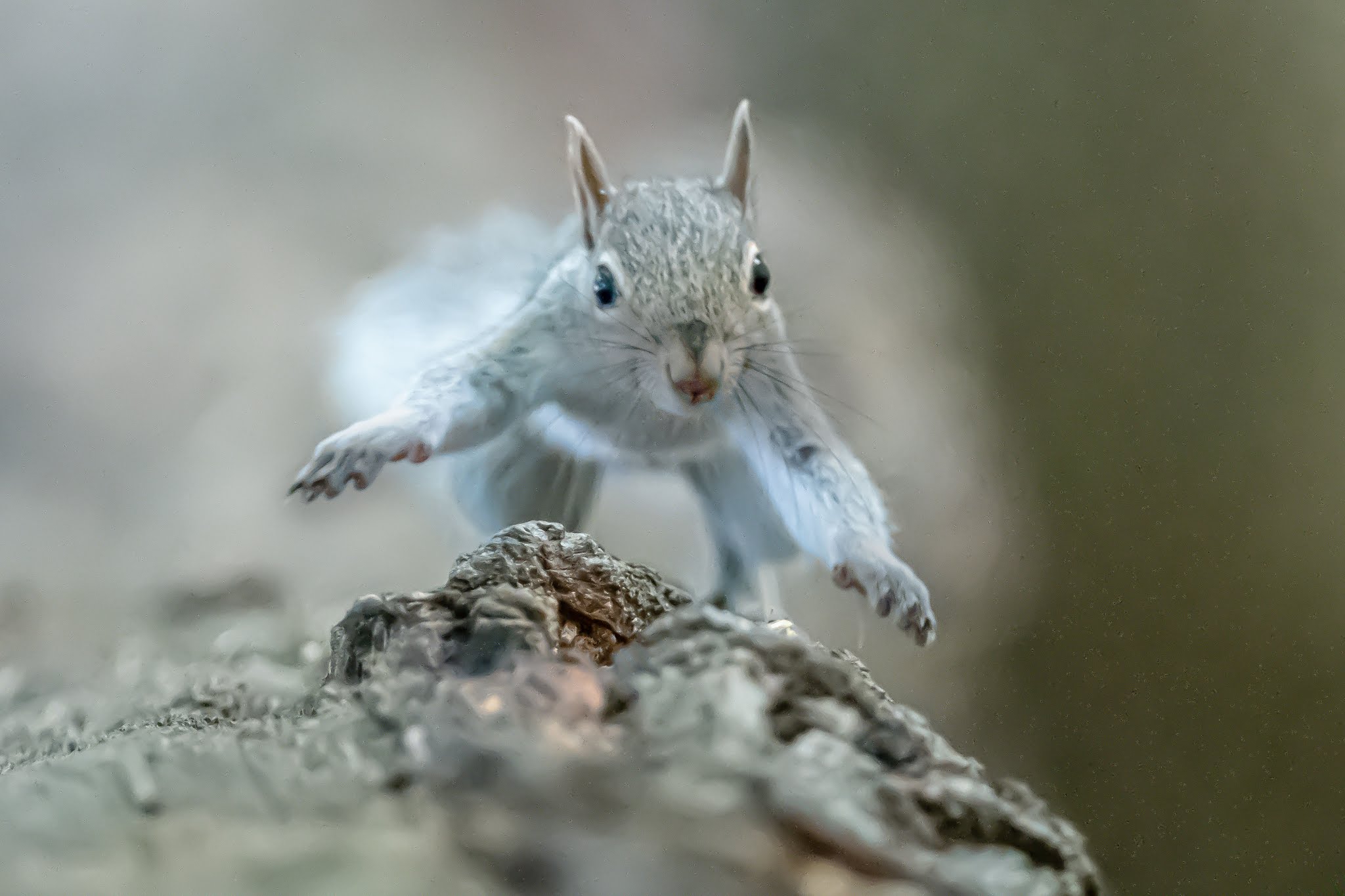 Ready, Set, Here I Come