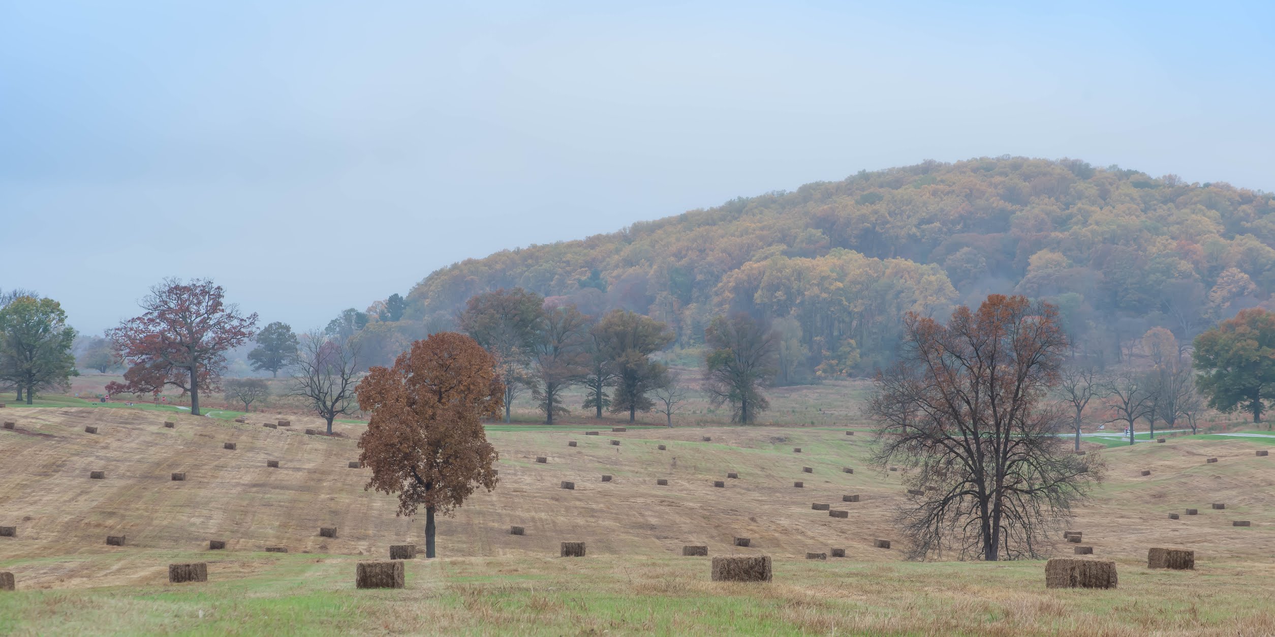 Valley Forge National Park in October