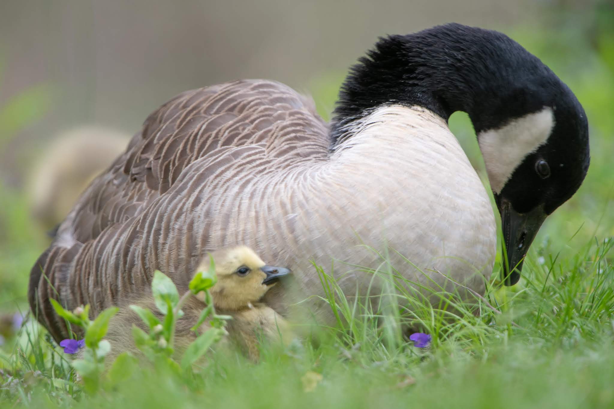 So Nice to be Warm on a Cold Day