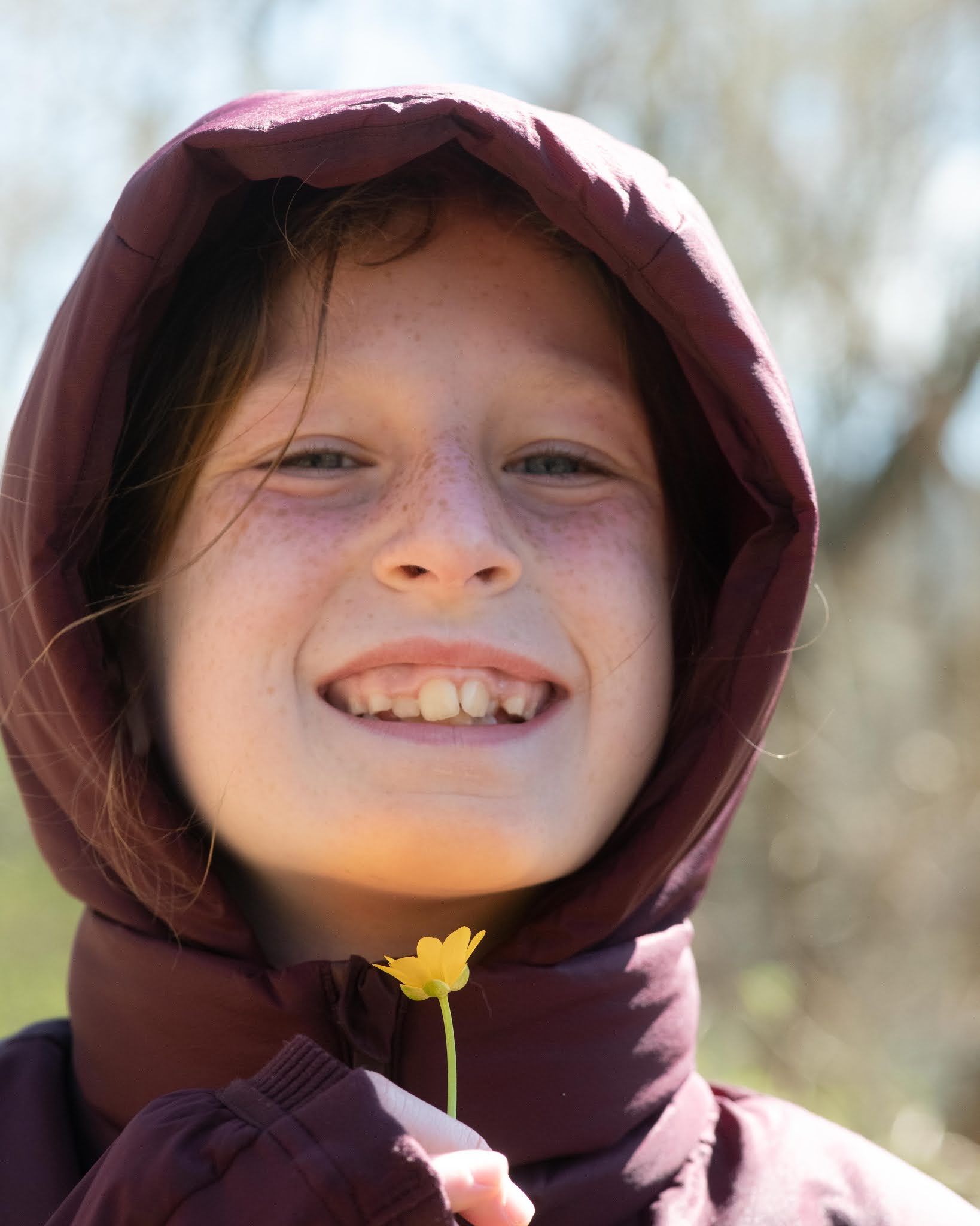 The Toads Were All Gone!!