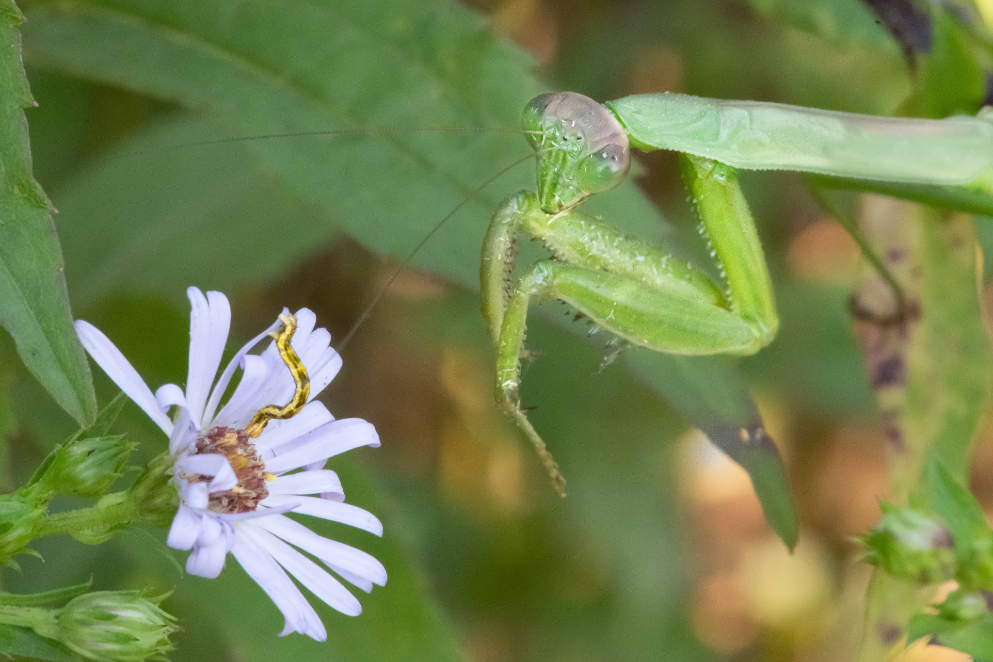 From Beginning to End