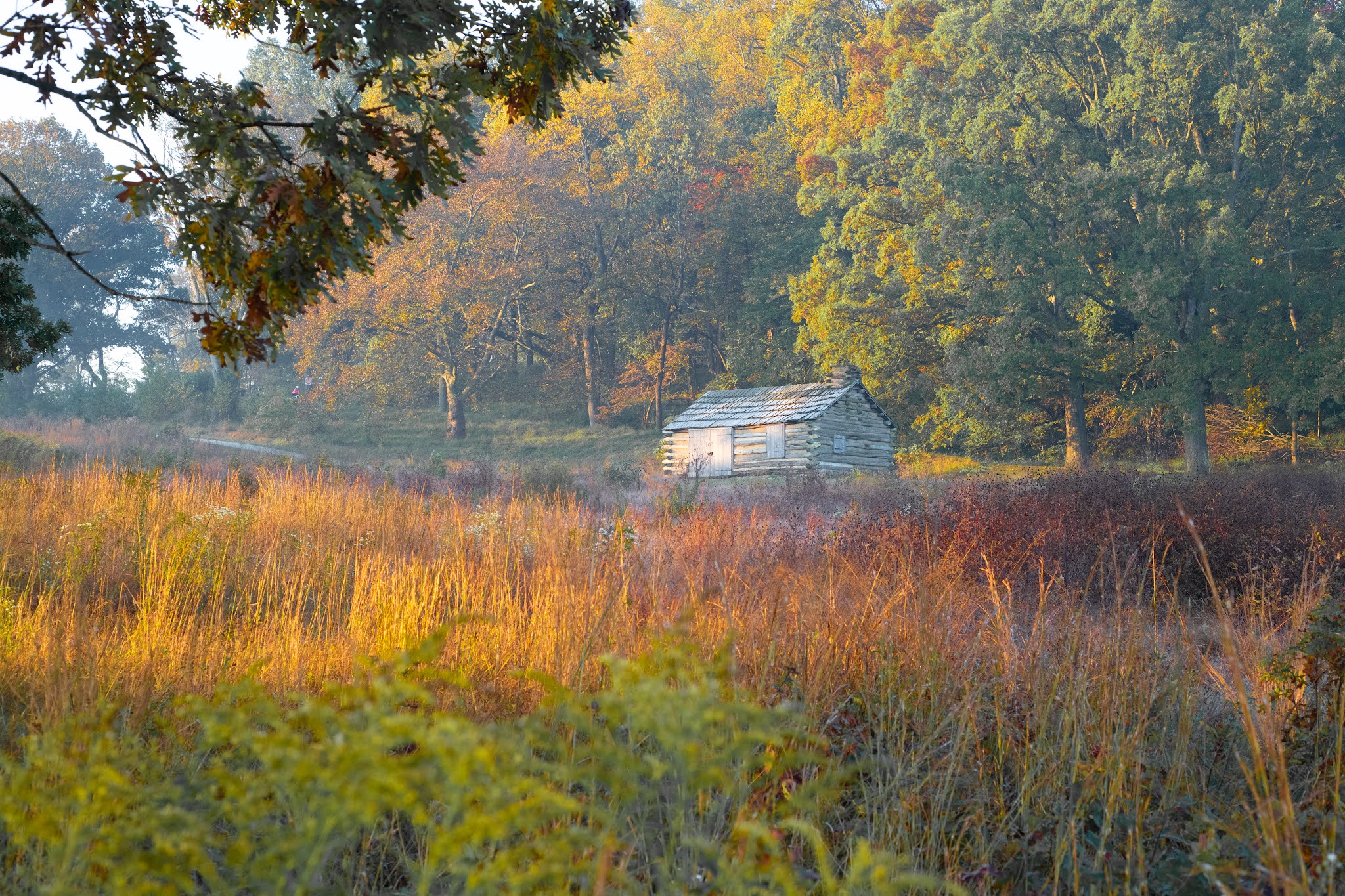 Cabin in Fall Colors was Published in the Philadelphia Inquirer today!!