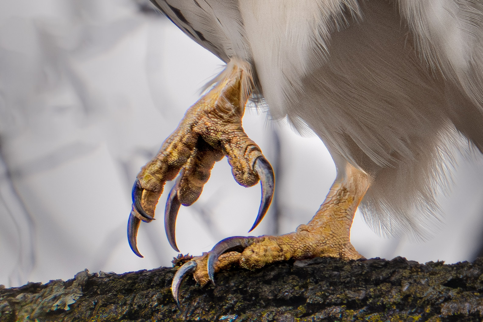 Don’t Mess With Me