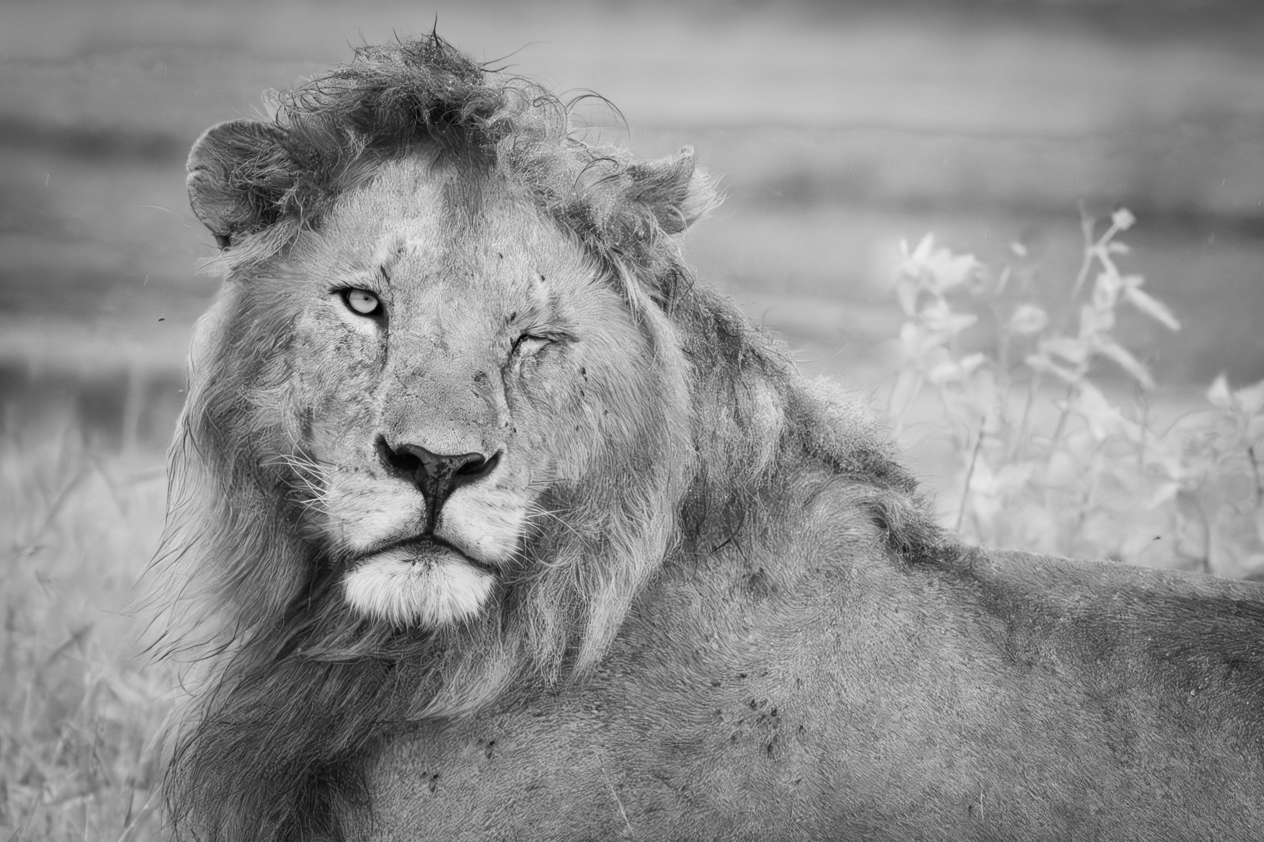 Playing in Black and White