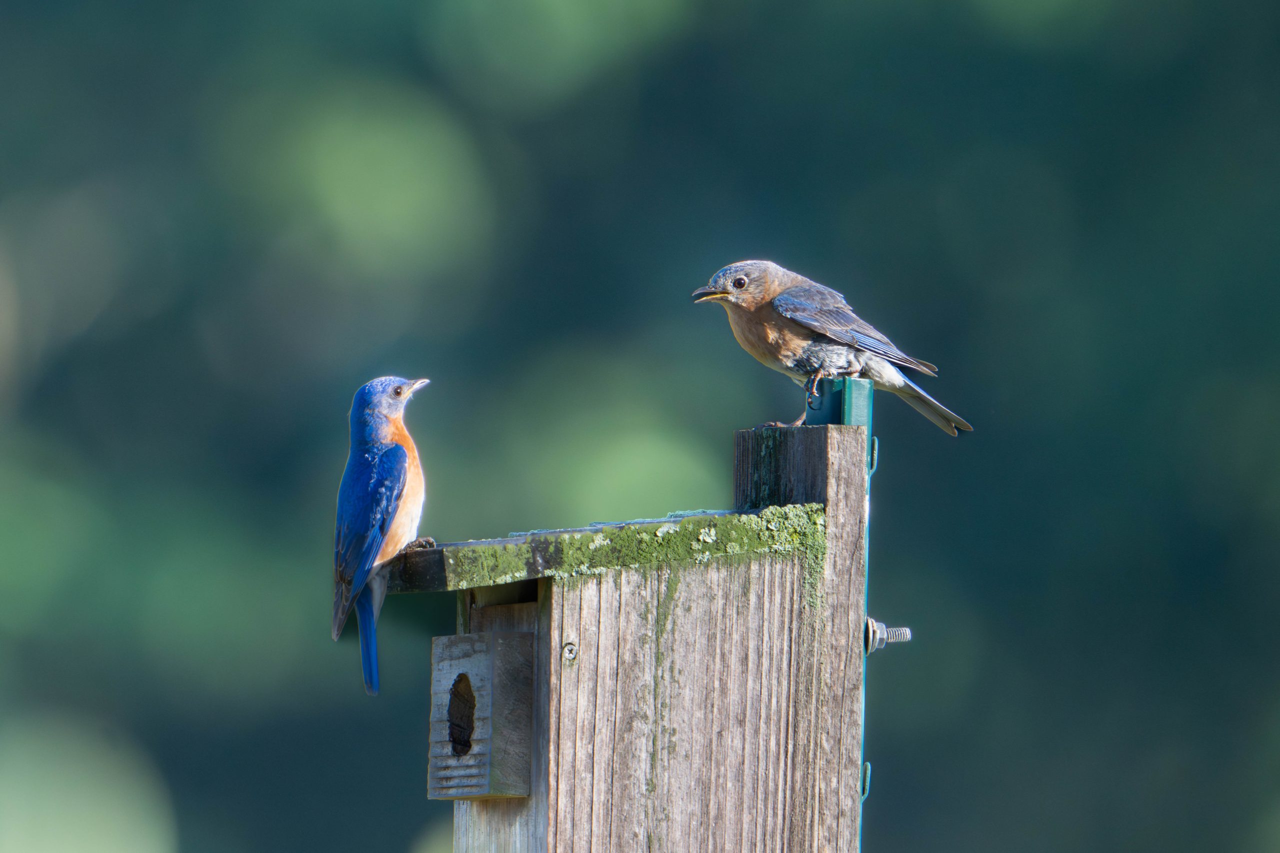 “Would You Like to Go Out With Me Tonight?”