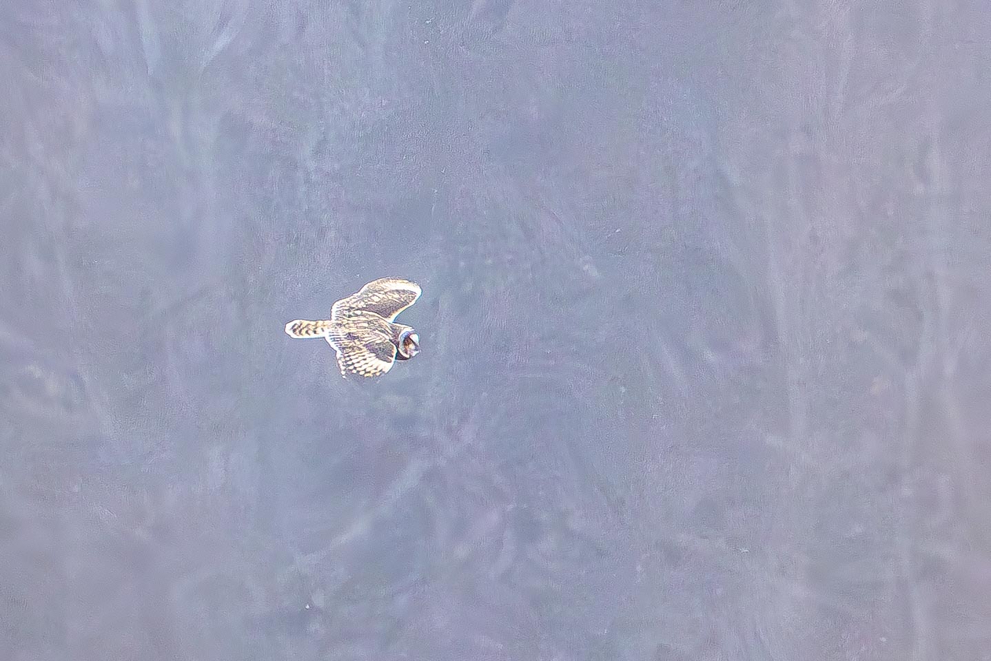 Mercer Meadows in the Snow