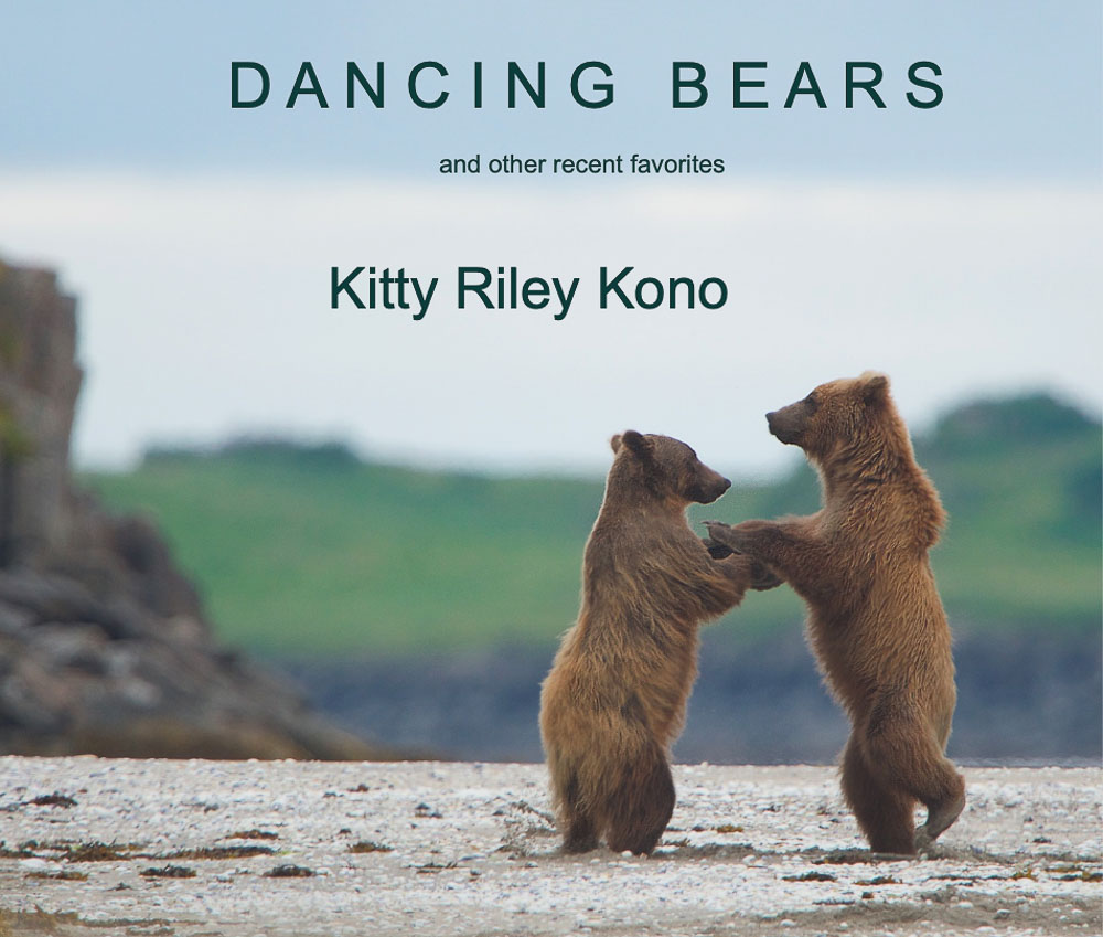 Dancing Bears and Other Favorites