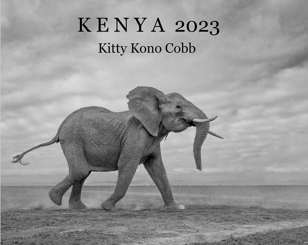 Kenya 2023