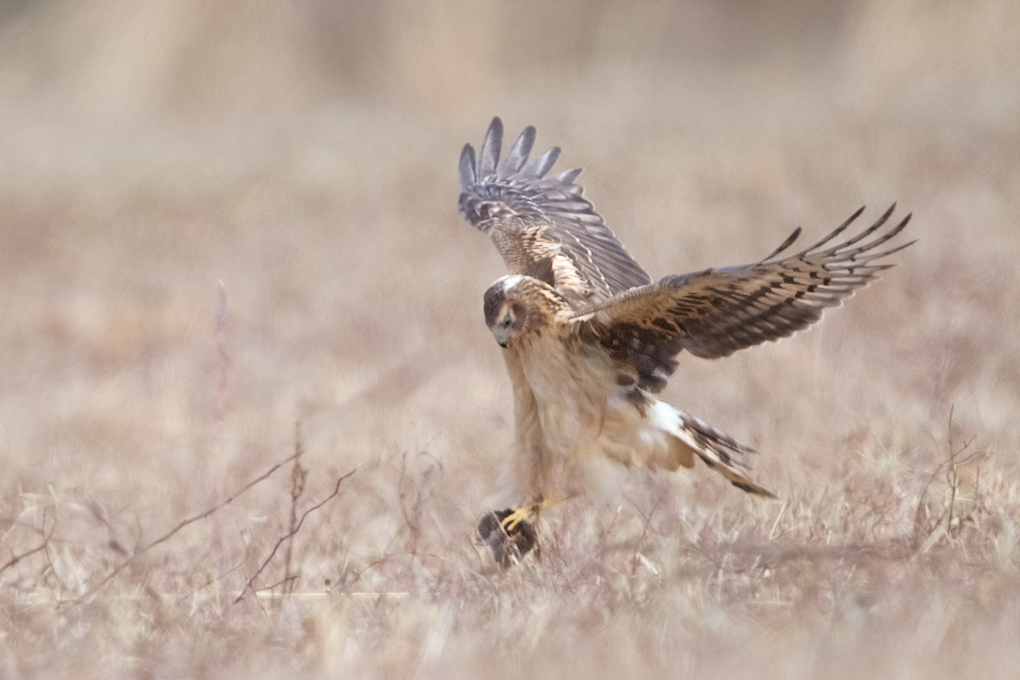 At the Point of Capture