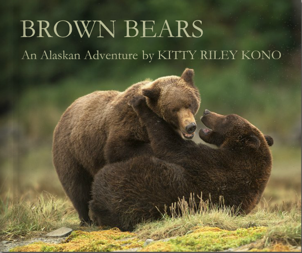 New Book “Brown Bears – An Alaskan Adventure”