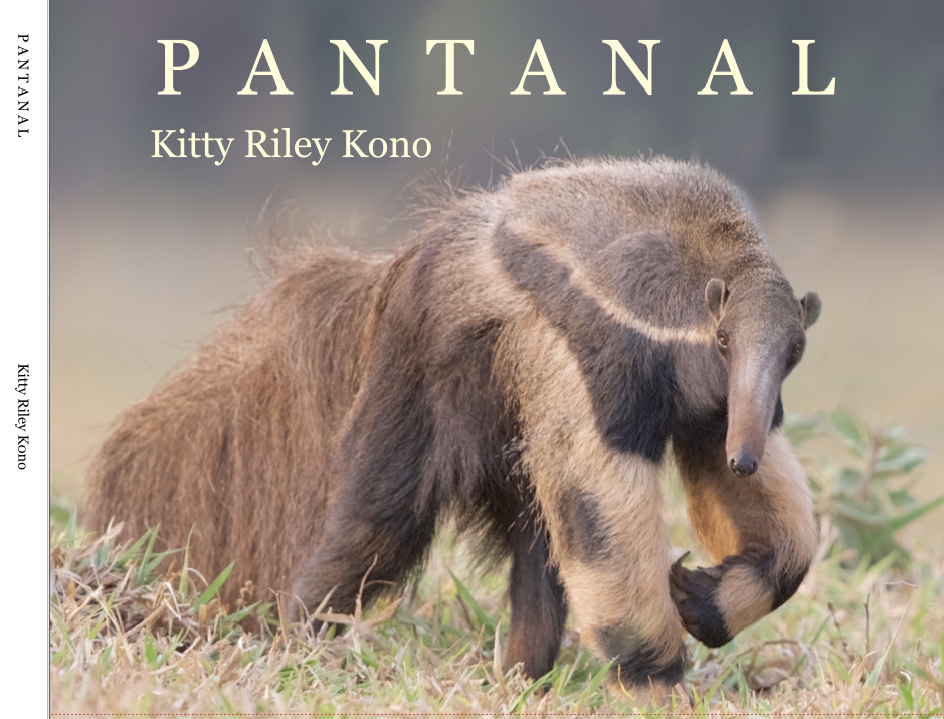 New Book – P A N T A N A L