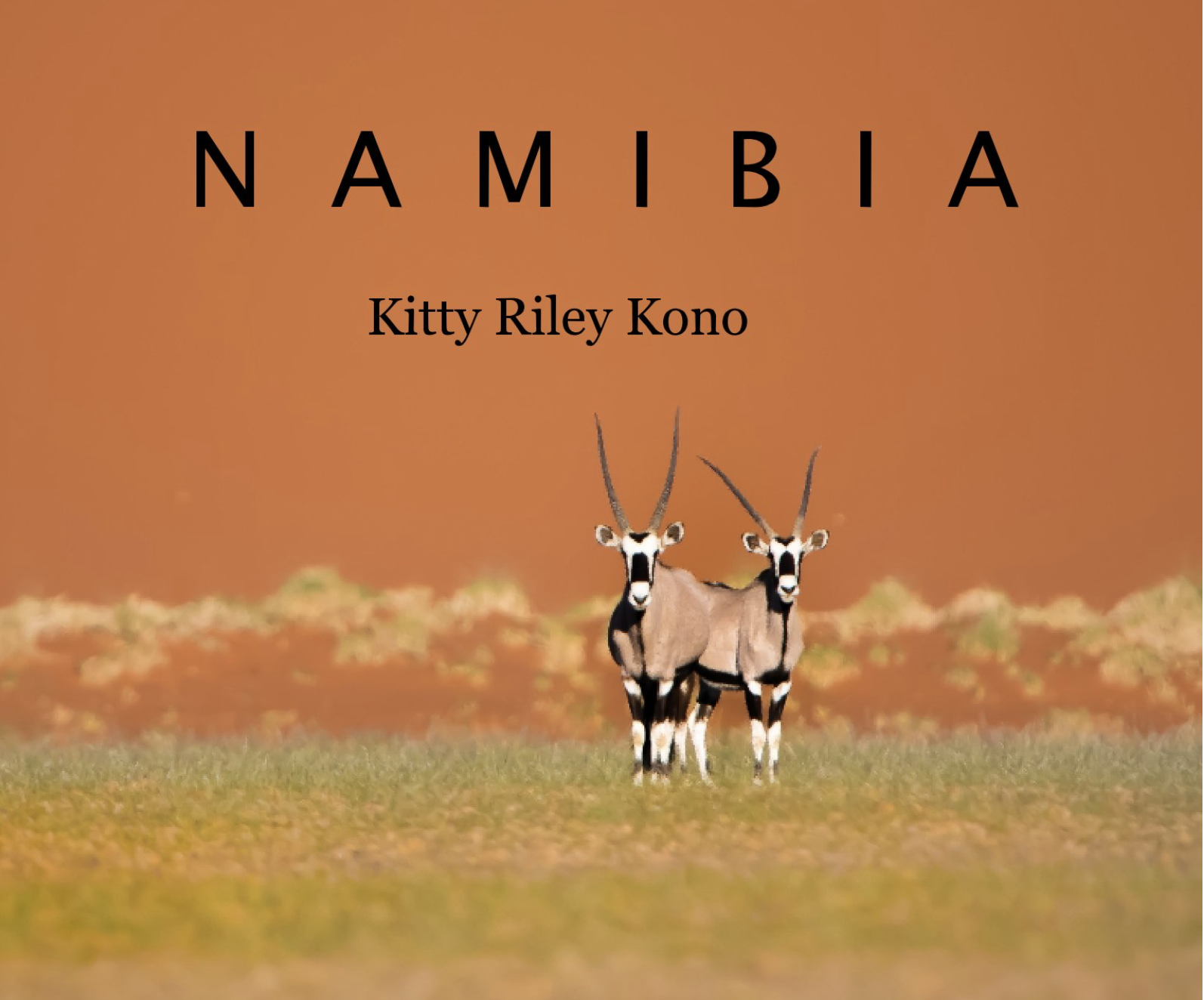 NAMIBIA – The Book