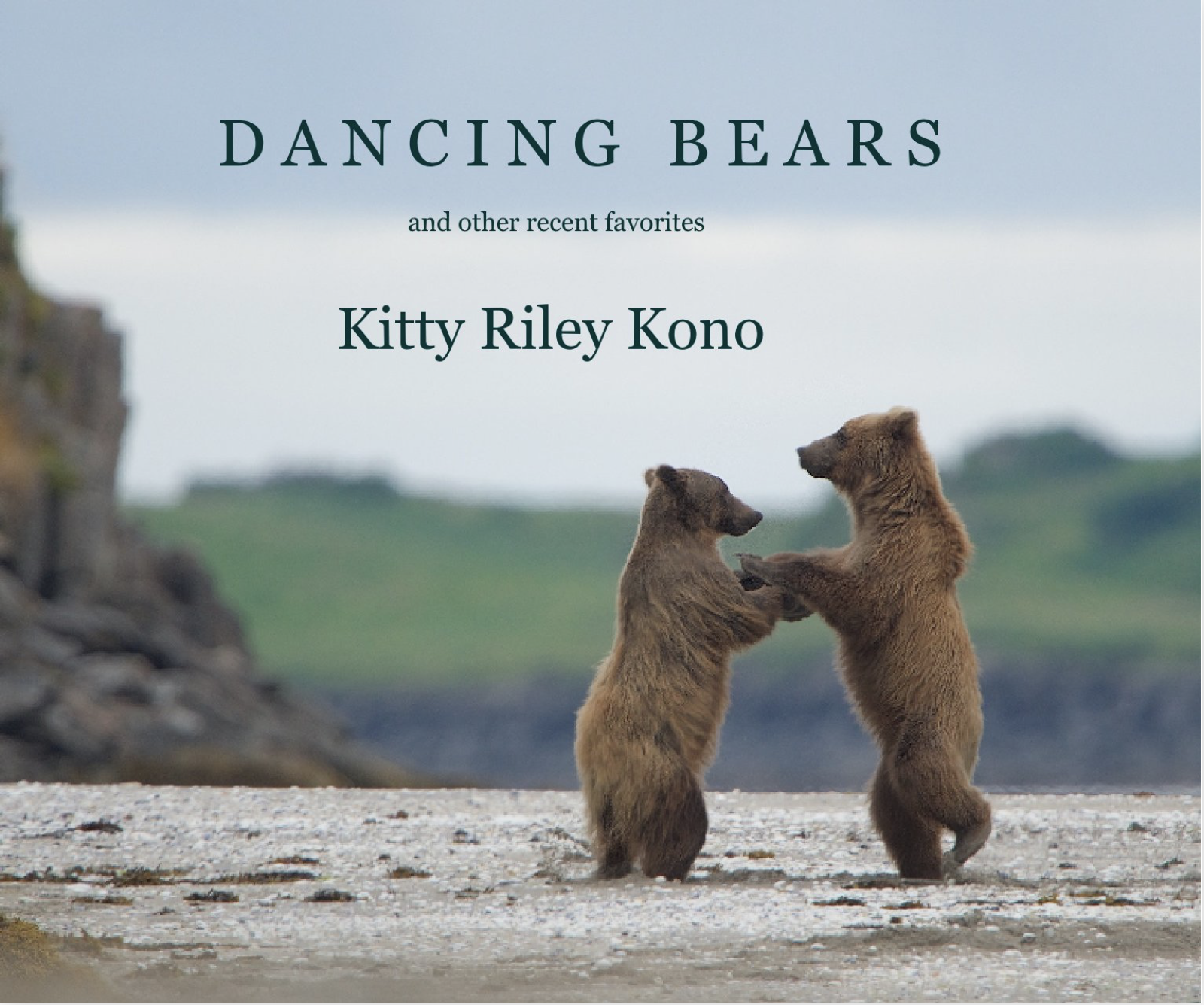 New Book – “Dancing Bears”