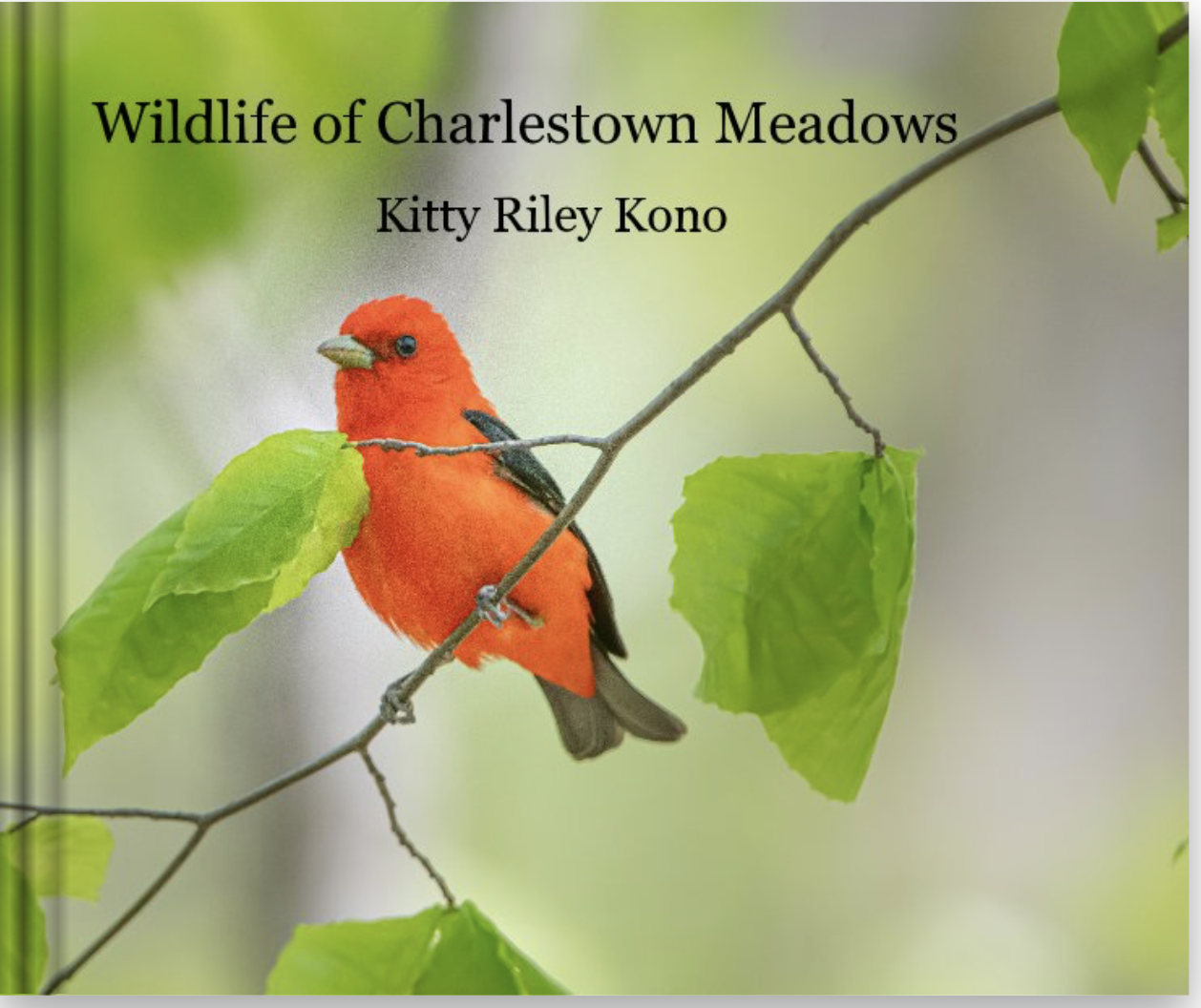 Yet another New Book – Wildlife of Charlestown Meadows