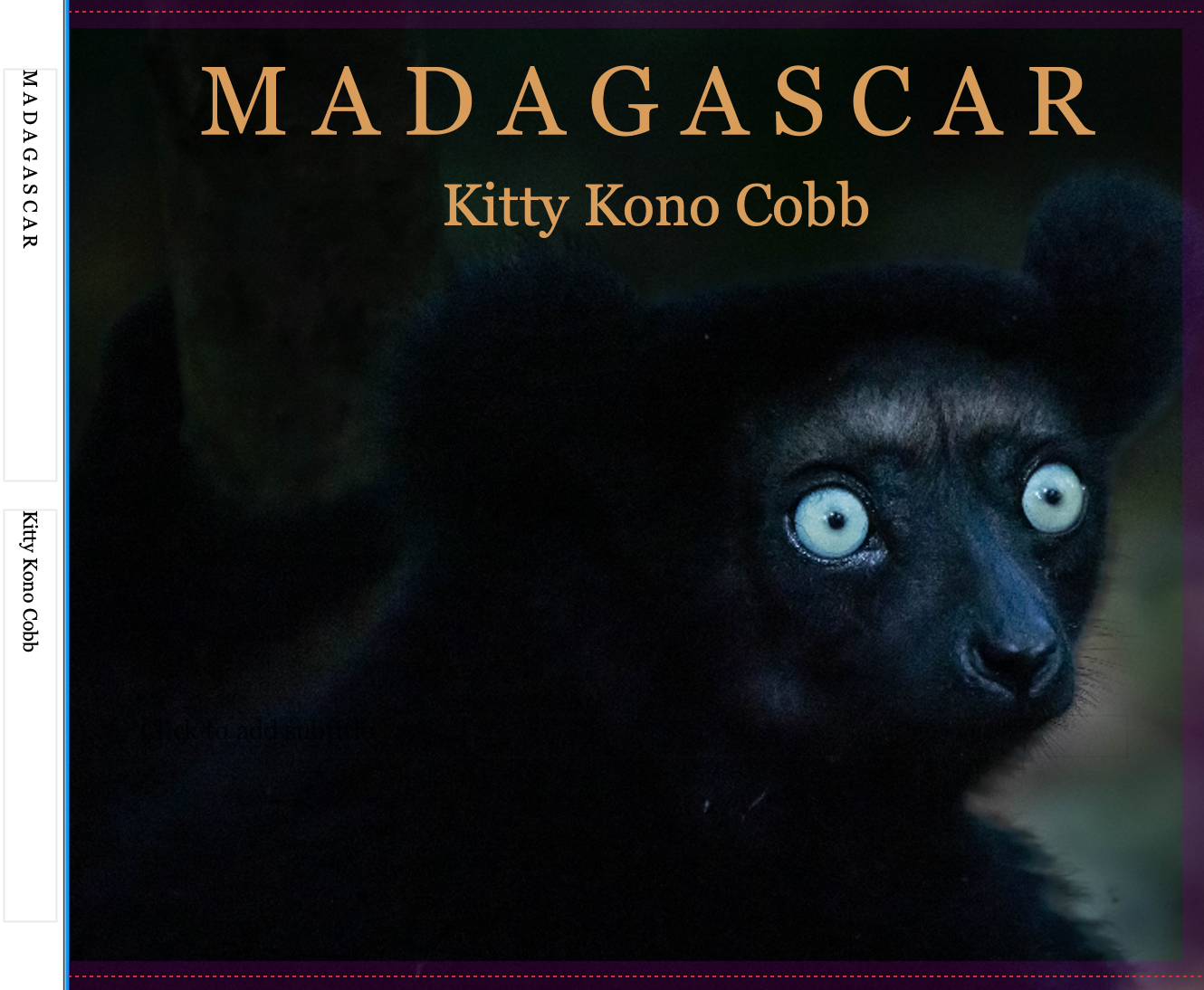Working on a New Book – MADAGASCAR