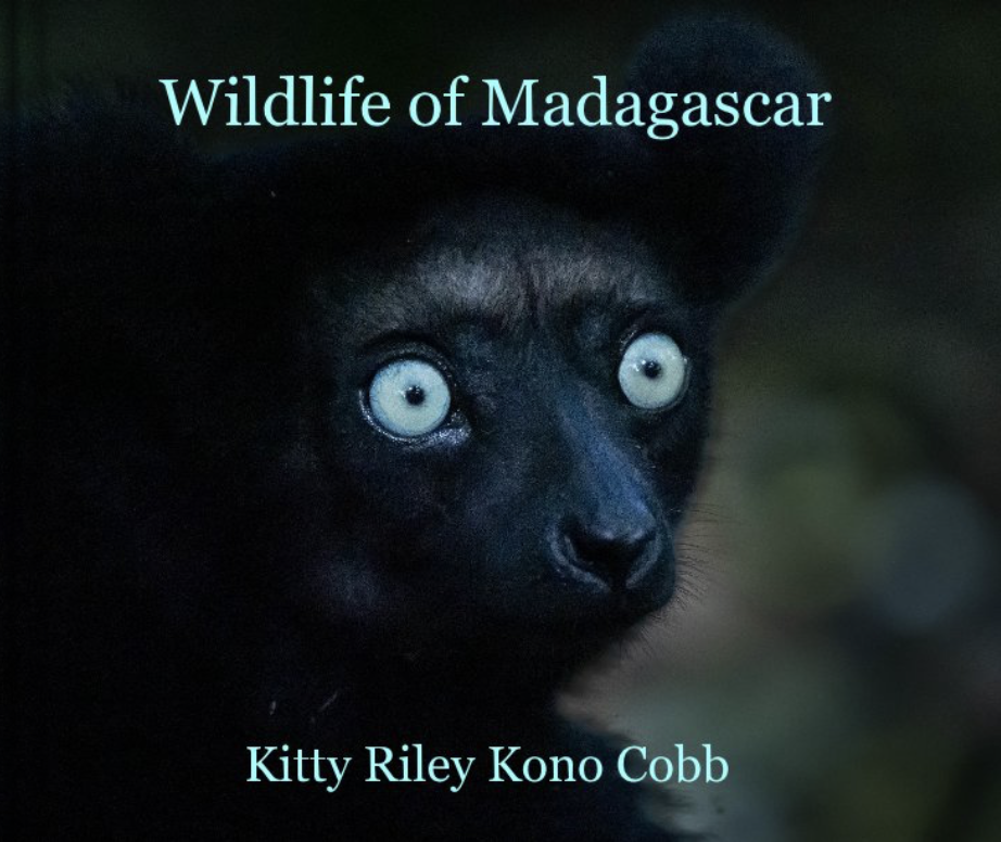 New Book!!! Wildlife of Madagascar