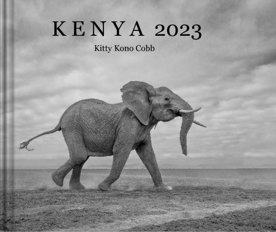 K E N Y A 2023
