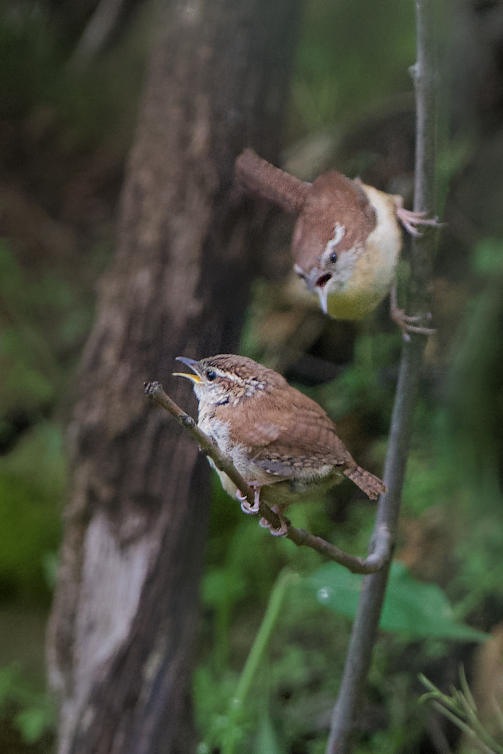 This is a True Story