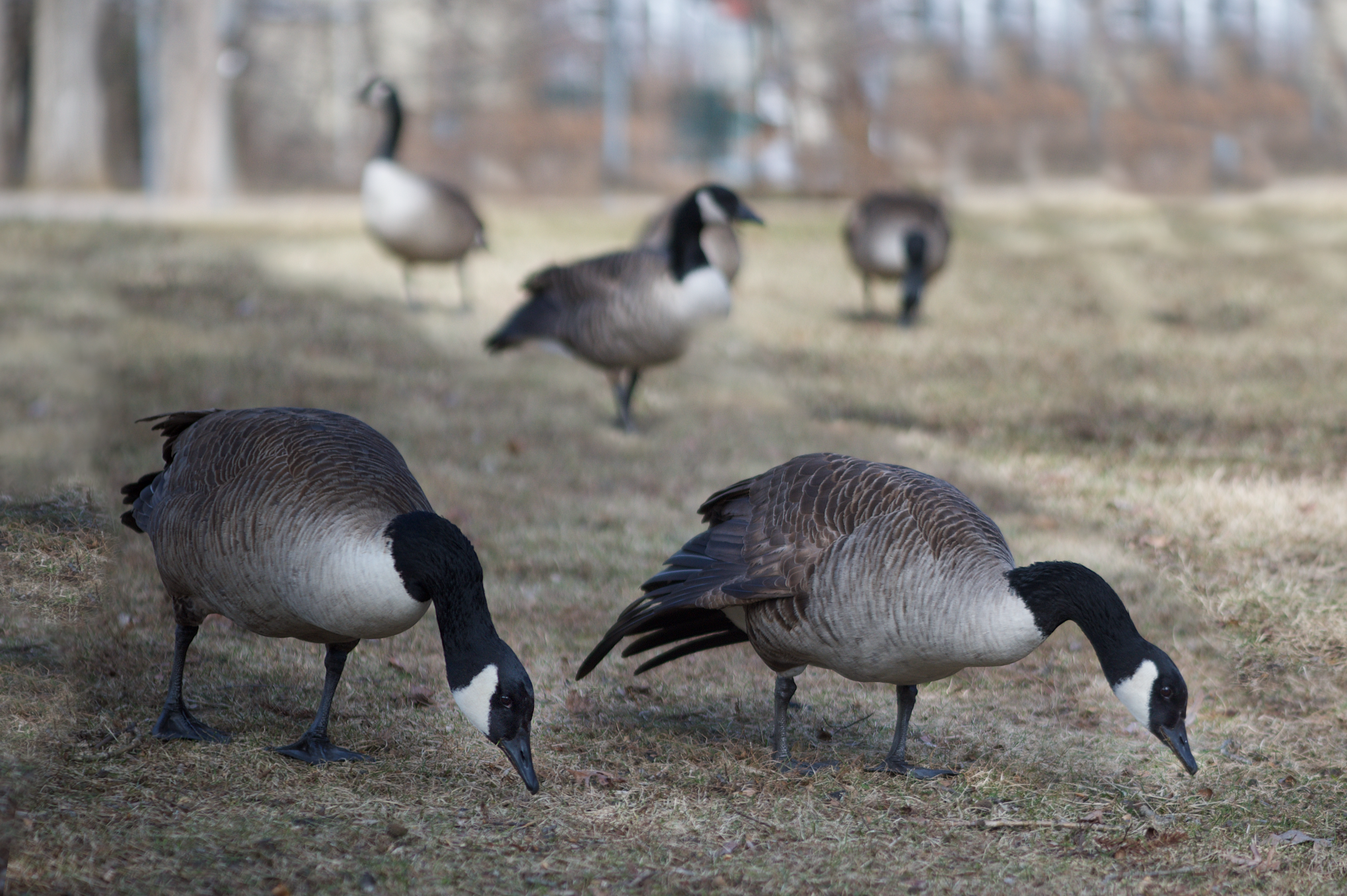 My Tripod is in the Repair Shop